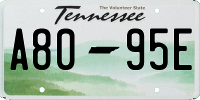 TN license plate A8095E