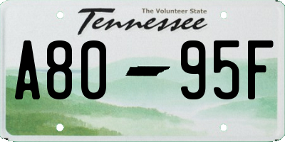 TN license plate A8095F