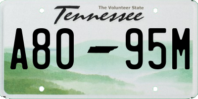 TN license plate A8095M