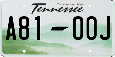 TN license plate A8100J