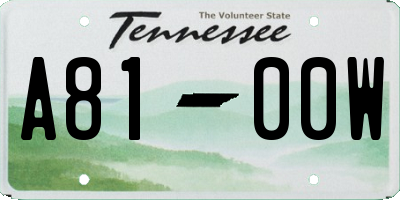 TN license plate A8100W