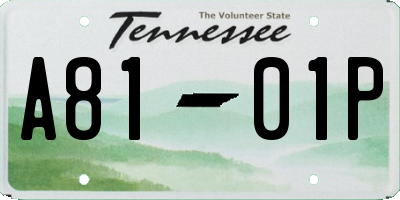 TN license plate A8101P