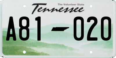 TN license plate A8102O