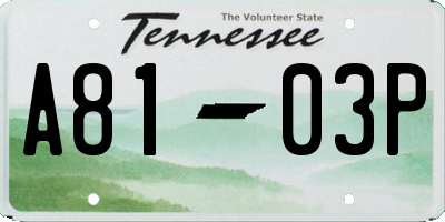 TN license plate A8103P