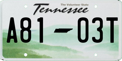 TN license plate A8103T