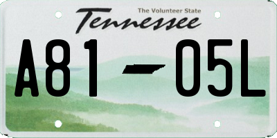 TN license plate A8105L