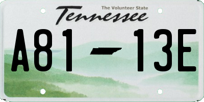 TN license plate A8113E