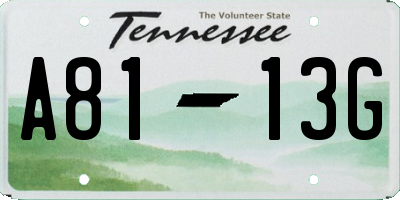 TN license plate A8113G