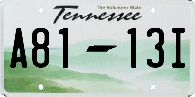 TN license plate A8113I