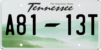 TN license plate A8113T