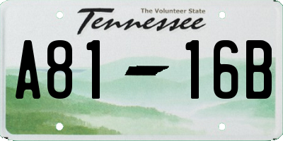 TN license plate A8116B