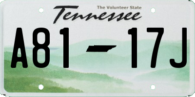 TN license plate A8117J
