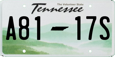 TN license plate A8117S