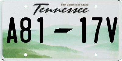 TN license plate A8117V