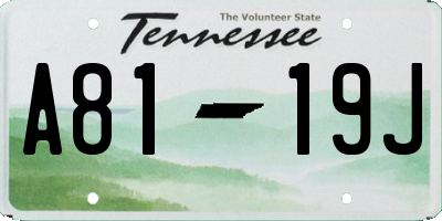 TN license plate A8119J