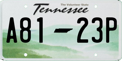 TN license plate A8123P