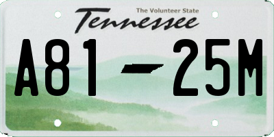 TN license plate A8125M