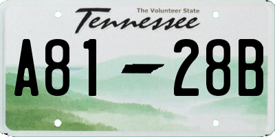 TN license plate A8128B