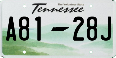 TN license plate A8128J