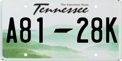 TN license plate A8128K