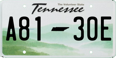 TN license plate A8130E