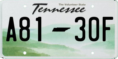 TN license plate A8130F