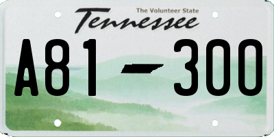 TN license plate A8130O