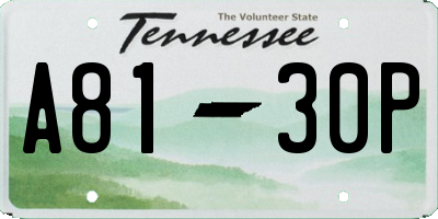 TN license plate A8130P