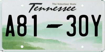TN license plate A8130Y