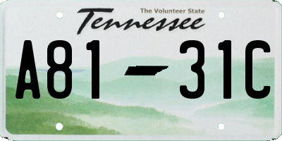 TN license plate A8131C