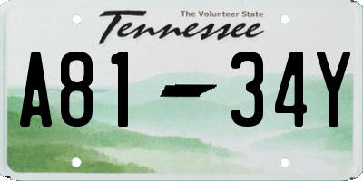 TN license plate A8134Y