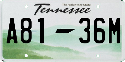 TN license plate A8136M