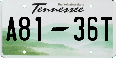 TN license plate A8136T