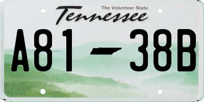 TN license plate A8138B