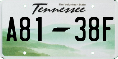 TN license plate A8138F
