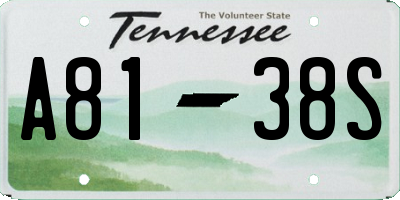 TN license plate A8138S