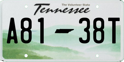 TN license plate A8138T