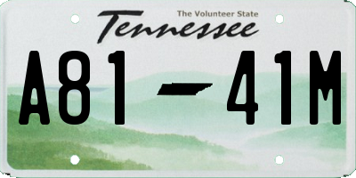 TN license plate A8141M