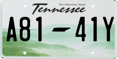 TN license plate A8141Y