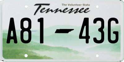 TN license plate A8143G