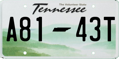 TN license plate A8143T