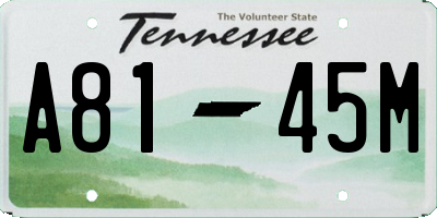 TN license plate A8145M