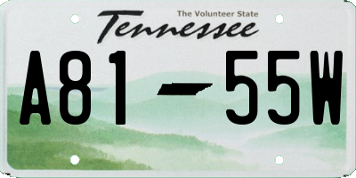TN license plate A8155W