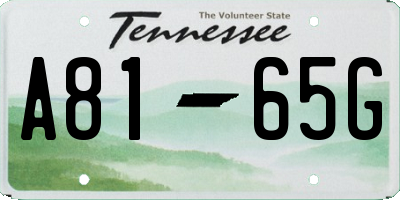 TN license plate A8165G