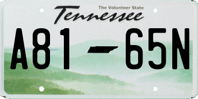 TN license plate A8165N