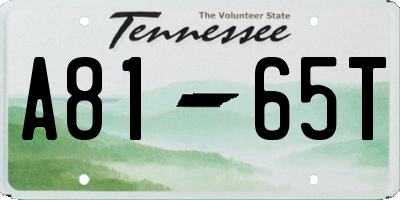 TN license plate A8165T
