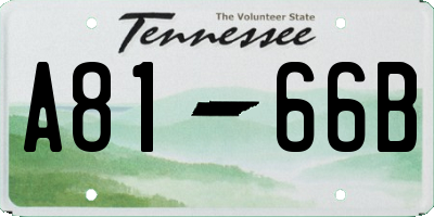 TN license plate A8166B