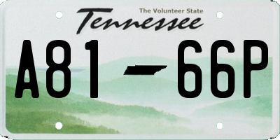 TN license plate A8166P