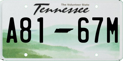 TN license plate A8167M