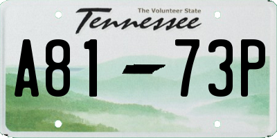 TN license plate A8173P